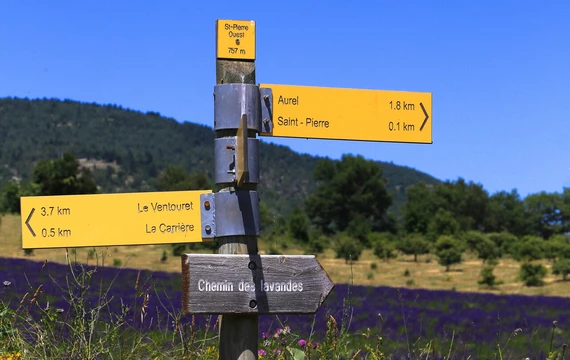 Randonnée chemin des lavandes  © Hocquel