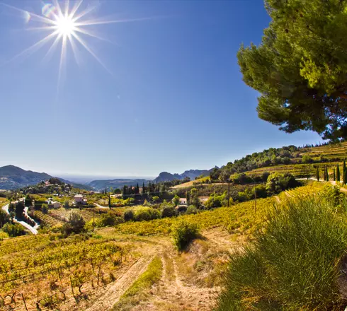   © Ferme Saint Martin